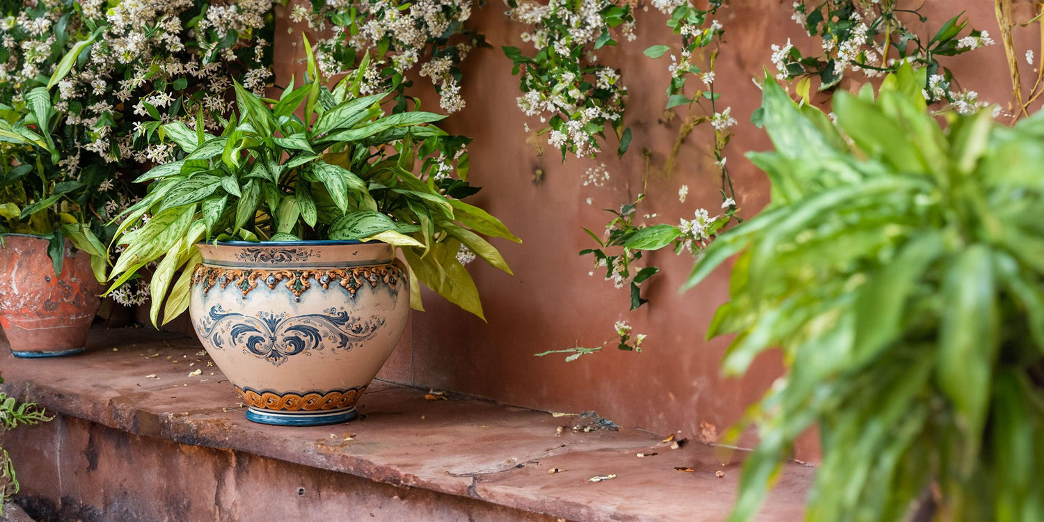 Cachepot: elemento essenziale per l'arredamento di casa - Moorish Head