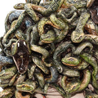 Handcrafted ceramic Medusa sculpture with coiled green snakes, glossy finish, unique decorative art piece