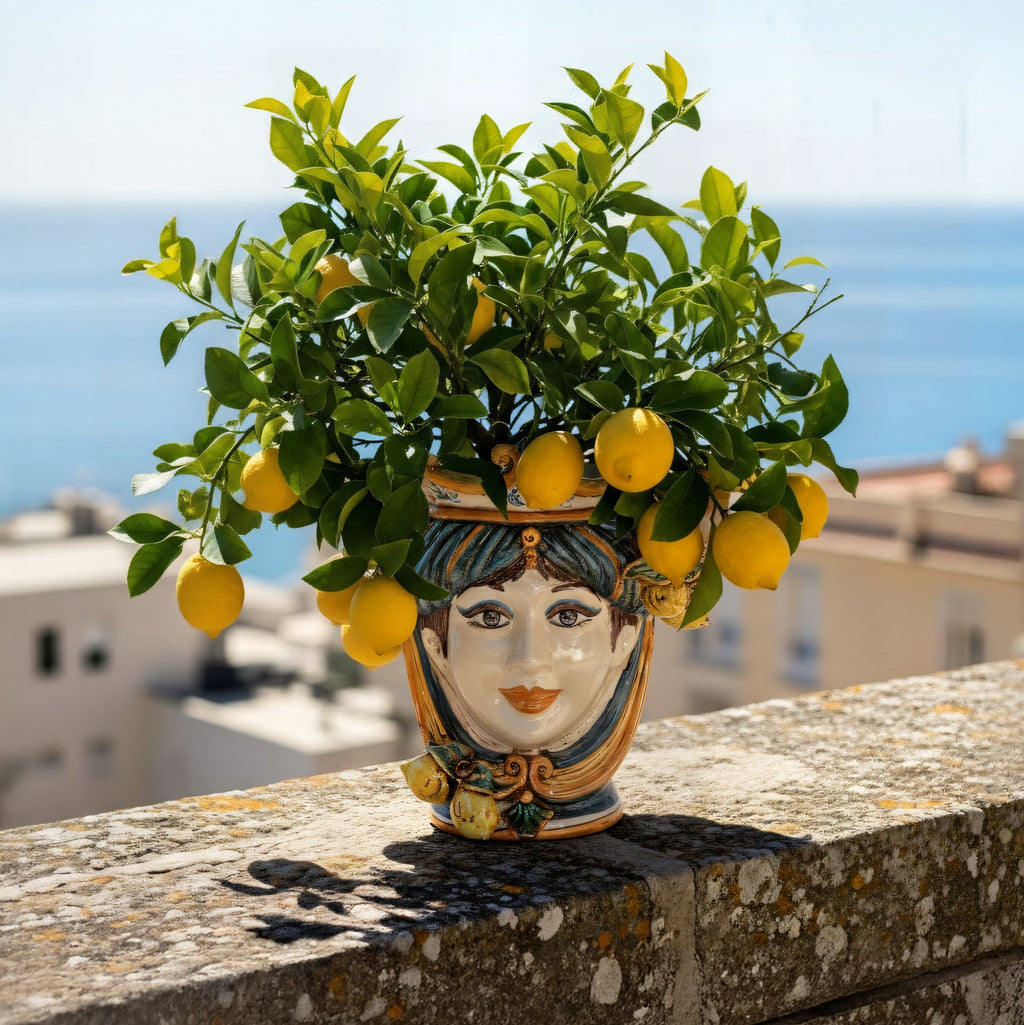 Hand-painted Teste di Moro planter with lemon tree, coastal Mediterranean decor
